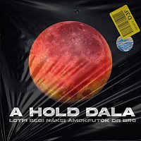 A hold dala