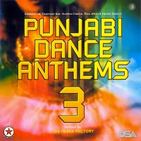 Různí interpreti – Punjabi Dance Anthems 3