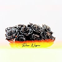 Rosa Negra