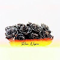 Waze – Rosa Negra