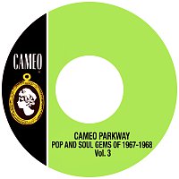Přední strana obalu CD Cameo Parkway Pop And Soul Gems Of 1967-1968 Vol. 3