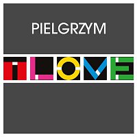Pielgrzym (Radio Edit)