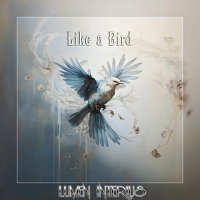 Přední strana obalu CD Like a Bird