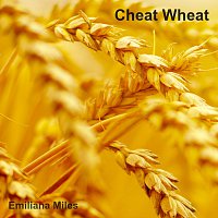 Přední strana obalu CD Cheat Wheat