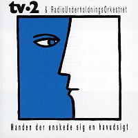 Tv-2 & Radiounderholdningsorkestret – Manden Der Onskede Sig En Havudsigt