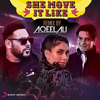 Badshah – She Move It Like (Remix by Aqeel Ali)