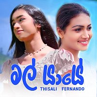 Přední strana obalu CD Mal Yaye