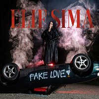 Elif Sima – Fake Love