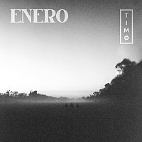 TIMO – ENERO