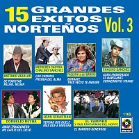 Různí interpreti – 15 Grandes Éxitos Nortenos, Vol. 3