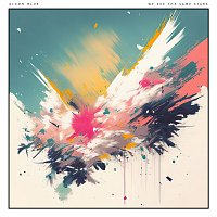 Přední strana obalu CD We See the Same Stars