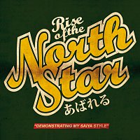 Rise Of The Northstar – Demonstrating My Saiya Style