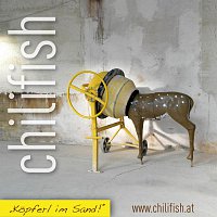 Přední strana obalu CD Kopferl im Sand