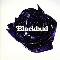 Blackbud – Blackbud