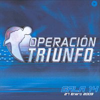 Operación Triunfo [OT Gala 14 / 2002]