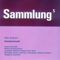 Daius Ensemble, Michail Drankewitsch, Ensemble Wiener Collage, René Staar – Kammermusik