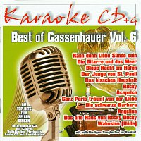 Karaokefun.cc VA – Best of Gassenhauer Vol.6