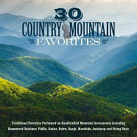 Přední strana obalu CD 30 Country Mountain Favorites