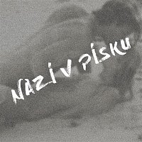 David Deyl – Nazí v písku