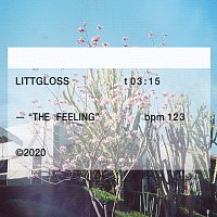 LittGloss – The Feeling