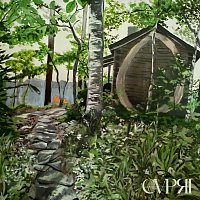 Přední strana obalu CD Seppeleet