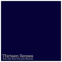 Thirteen Senses – Into The Fire [Cicada Remix]