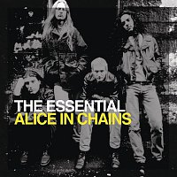 Přední strana obalu CD The Essential Alice In Chains
