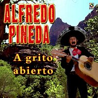 Alfredo Pineda – A Grito Abierto