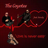 Přední strana obalu CD Love is never easy (feat. Sandy)
