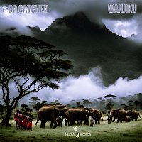 Dr Catcher – Wanjiku