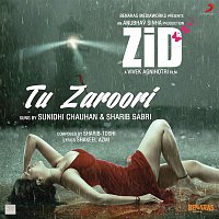 Sharib Toshi, Sunidhi Chauhan & Sharib Sabri – Tu Zaroori (From "Zid")