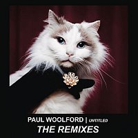 Paul Woolford – Untitled (Call Out Your Name) (Remixes)