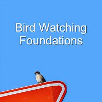Bird Watching Foundations