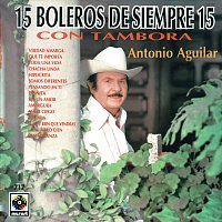 Přední strana obalu CD 15 Boleros De Siempre 15