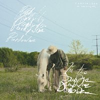 Přední strana obalu CD I'm The Dumb One