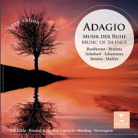 Přední strana obalu CD Adagio - Musik der Ruhe / Music of Silence