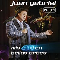 Juan Gabriel – Mis 40 En Bellas Artes [En Vivo Desde Bellas Artes, México/ 2013/ Parte 1]