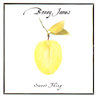 Boney James – Sweet Thing
