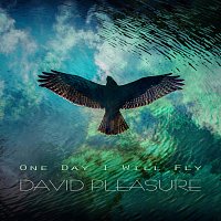 Přední strana obalu CD One Day I Will Fly