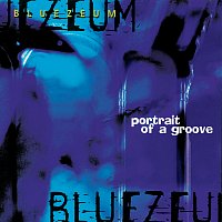 Bluezeum – Portrait Of A Groove
