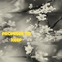 Přední strana obalu CD Promises To Keep