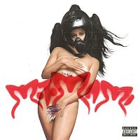 Přední strana obalu CD CHICKEN TERIYAKI