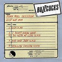 Buzzcocks – John Peel Session (21st May 1979)