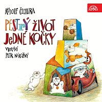 Přední strana obalu CD Čechura: Pestrý život jedné kočky