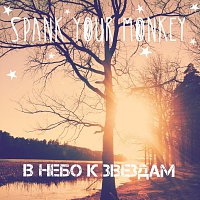 Přední strana obalu CD В небо к звездам