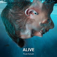 Noah Schaub – Alive