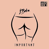 2Baba – Important