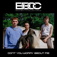 Bad Boy Chiller Crew – Don't You Worry About Me