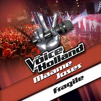 Maame Joses – Fragile [From The Voice Of Holland]