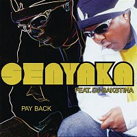 Senyaka, DJ Bakstina – Payback
